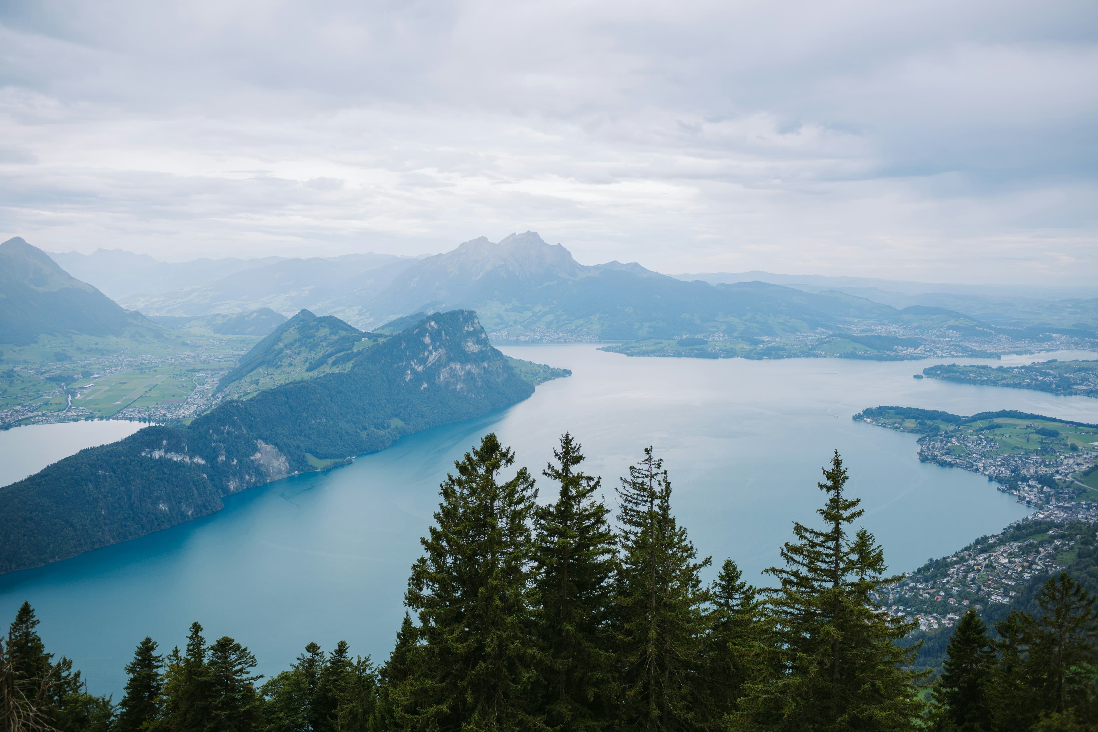 forested lake landscape